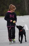 child training dog