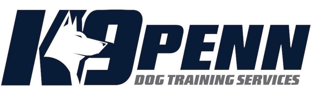 k9penn dog training Surfside beach