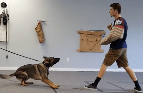 Screenshot 2017-11-03 23.03.27